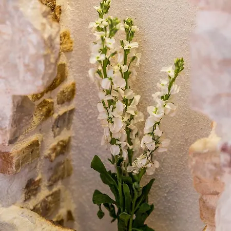 Gasthuis Captain's 4*